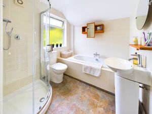 BATHROOM WITH SHOWER- click for photo gallery
